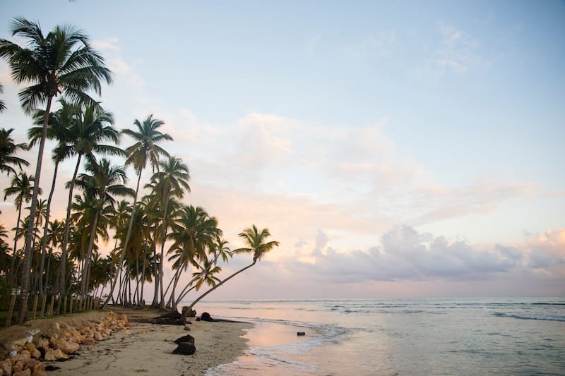 Beaches in the Dominican Republic with a typical scene of palm trees.