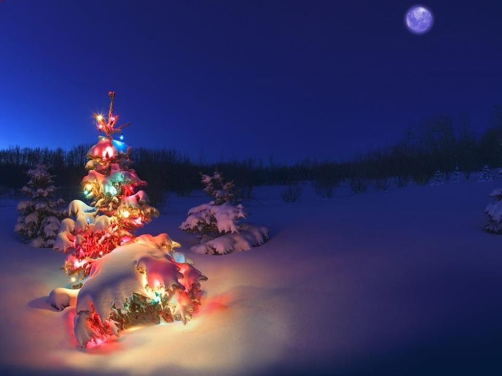 Background with the motif of night snowy nature and a colorful glowing tree.