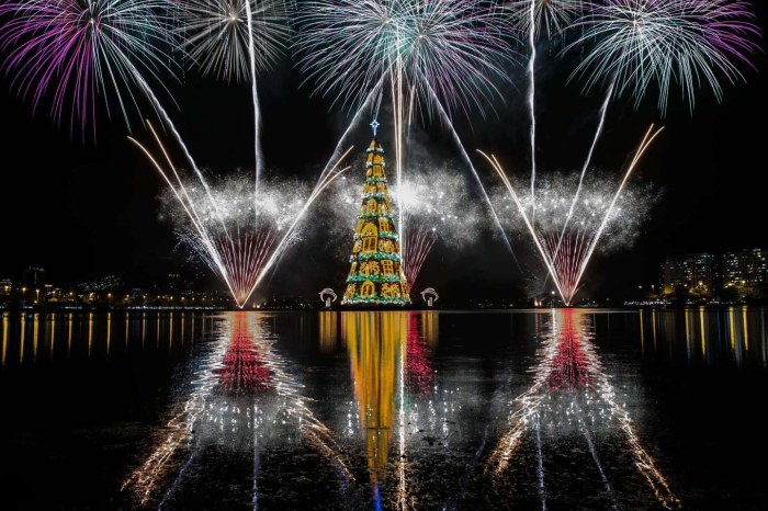 Floating Christmas tree in Rio de Janeiro.