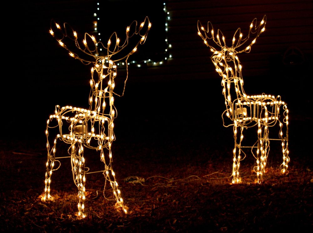 Glowing light reindeer as decoration for the garden.