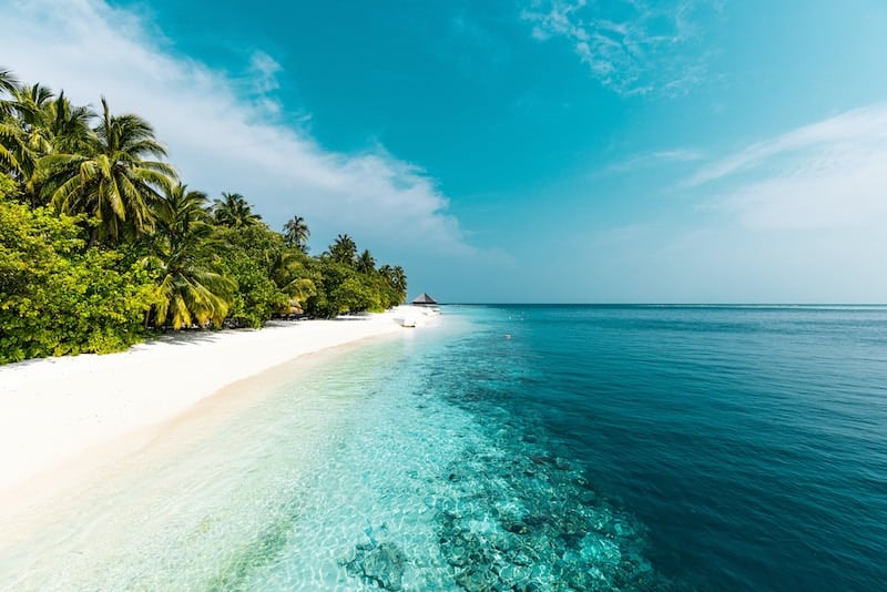 The beautiful azure sea of the Maldives and a snow-white beach lined with tall palm trees.