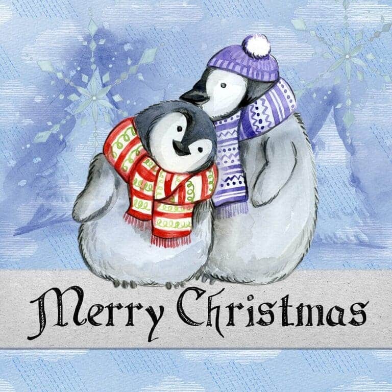 Two cuddling penguins with scarves on a blue frozen background with a Merry Christmas card