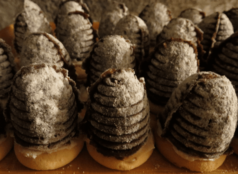 Walnut wasp nests