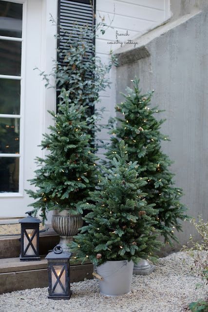 Outdoor Christmas tree decorated with string lights