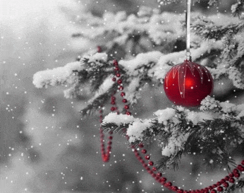 Red Christmas decoration on a snowy tree, falling flakes.