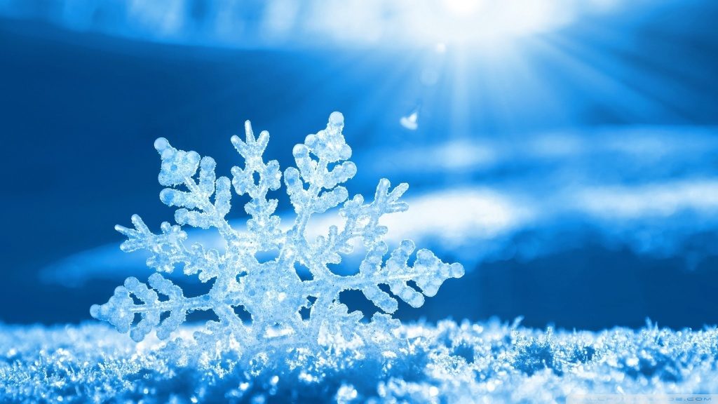 A picture Christmas card with a beautifully shaped large flake stuck in the snow.