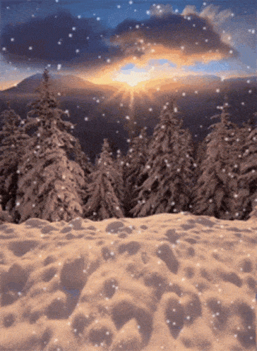 Beautiful winter landscape in the setting sun, snowflakes falling from the sky.
