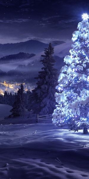 A view of a darkened winter landscape with a glowing spruce