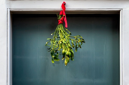 Christmas mistletoe, hung on the door frame with a red ribbon.