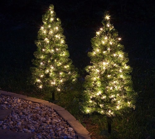 Illuminated trees.