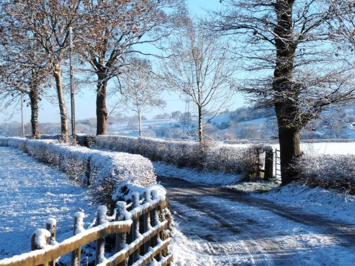 Snowy November landscape.