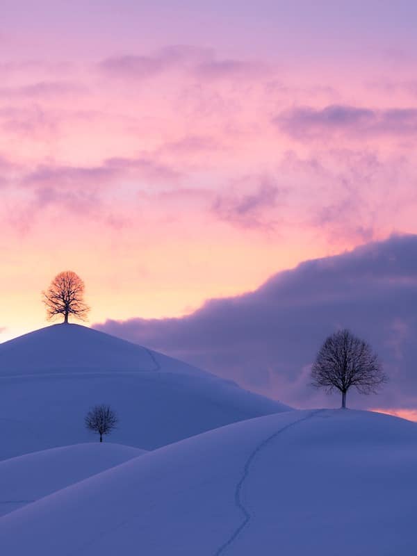 A beautiful sunset, snow covered hills appear below it, there is a tree on every peak.