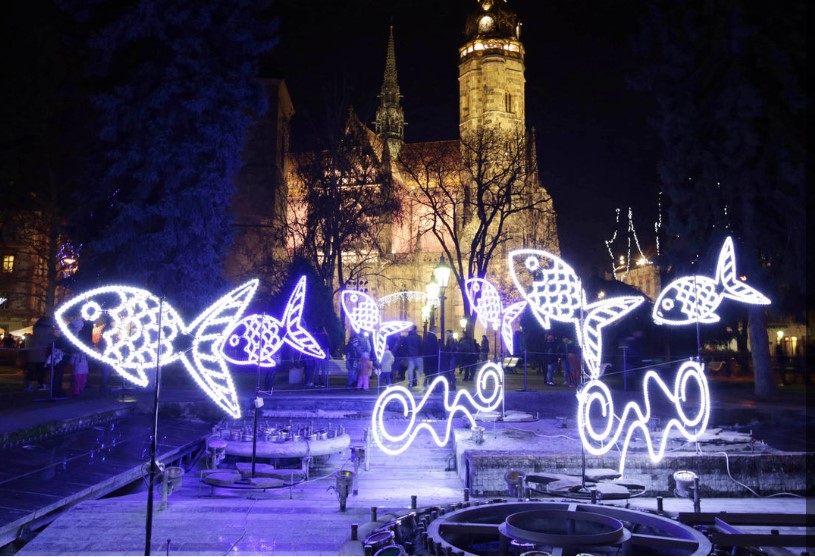 Christmas market in Košice - glowing fish in the park